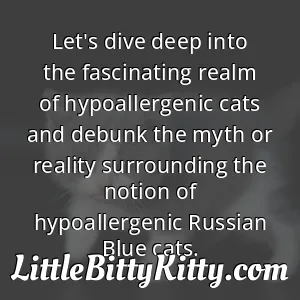 Let's dive deep into the fascinating realm of hypoallergenic cats and debunk the myth or reality surrounding the notion of hypoallergenic Russian Blue cats.