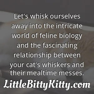 Let's whisk ourselves away into the intricate world of feline biology and the fascinating relationship between your cat's whiskers and their mealtime messes.