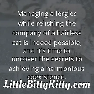 Managing allergies while relishing the company of a hairless cat is indeed possible, and it's time to uncover the secrets to achieving a harmonious coexistence.