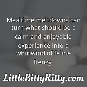 Mealtime meltdowns can turn what should be a calm and enjoyable experience into a whirlwind of feline frenzy.