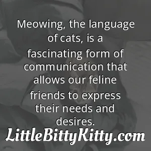 Meowing, the language of cats, is a fascinating form of communication that allows our feline friends to express their needs and desires.