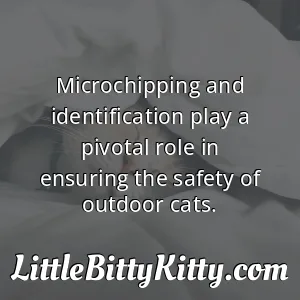 Microchipping and identification play a pivotal role in ensuring the safety of outdoor cats.