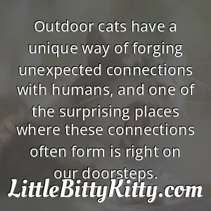 Outdoor cats have a unique way of forging unexpected connections with humans, and one of the surprising places where these connections often form is right on our doorsteps.