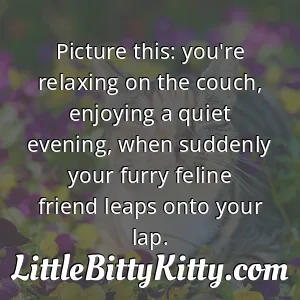 Picture this: you're relaxing on the couch, enjoying a quiet evening, when suddenly your furry feline friend leaps onto your lap.