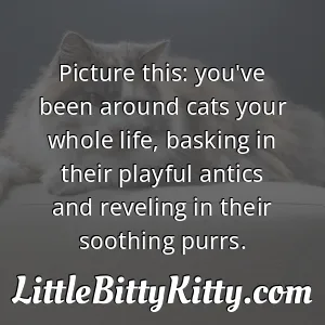 Picture this: you've been around cats your whole life, basking in their playful antics and reveling in their soothing purrs.