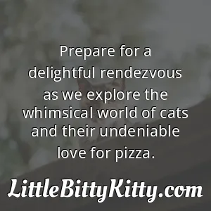 Prepare for a delightful rendezvous as we explore the whimsical world of cats and their undeniable love for pizza.