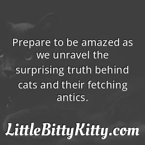 Prepare to be amazed as we unravel the surprising truth behind cats and their fetching antics.