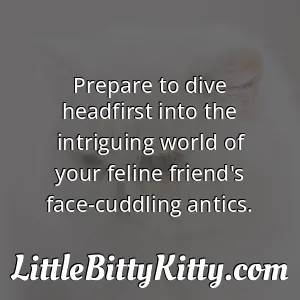 Prepare to dive headfirst into the intriguing world of your feline friend's face-cuddling antics.
