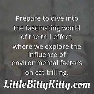 Prepare to dive into the fascinating world of the trill effect, where we explore the influence of environmental factors on cat trilling.