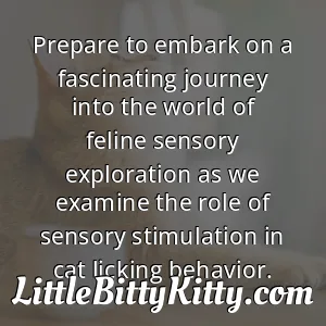 Prepare to embark on a fascinating journey into the world of feline sensory exploration as we examine the role of sensory stimulation in cat licking behavior.