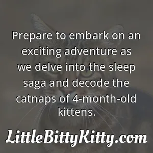 Prepare to embark on an exciting adventure as we delve into the sleep saga and decode the catnaps of 4-month-old kittens.
