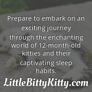 Prepare to embark on an exciting journey through the enchanting world of 12-month-old kitties and their captivating sleep habits.