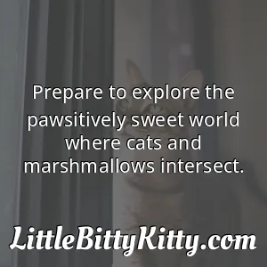 Prepare to explore the pawsitively sweet world where cats and marshmallows intersect.