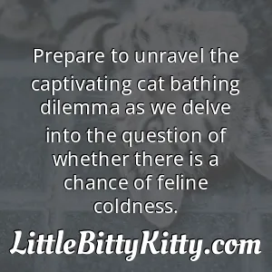 Prepare to unravel the captivating cat bathing dilemma as we delve into the question of whether there is a chance of feline coldness.