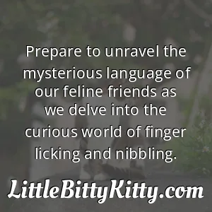 Prepare to unravel the mysterious language of our feline friends as we delve into the curious world of finger licking and nibbling.
