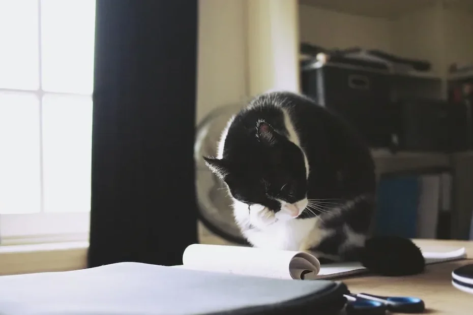 Sleepy Whiskers: Exploring Cat Slumber during Sickness