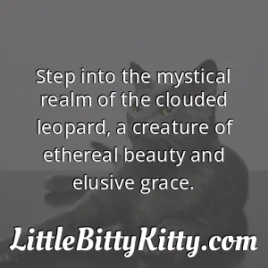 Step into the mystical realm of the clouded leopard, a creature of ethereal beauty and elusive grace.