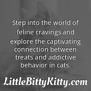 Step into the world of feline cravings and explore the captivating connection between treats and addictive behavior in cats.