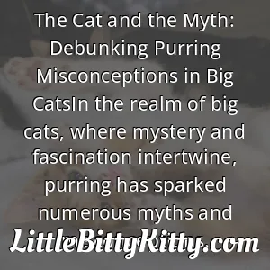 The Cat and the Myth: Debunking Purring Misconceptions in Big CatsIn the realm of big cats, where mystery and fascination intertwine, purring has sparked numerous myths and misconceptions.