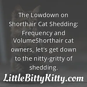 The Lowdown on Shorthair Cat Shedding: Frequency and VolumeShorthair cat owners, let's get down to the nitty-gritty of shedding.