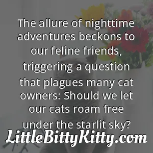 The allure of nighttime adventures beckons to our feline friends, triggering a question that plagues many cat owners: Should we let our cats roam free under the starlit sky?