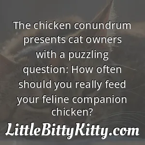 The chicken conundrum presents cat owners with a puzzling question: How often should you really feed your feline companion chicken?