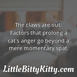 The claws are out: Factors that prolong a cat's anger go beyond a mere momentary spat.
