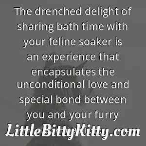 The drenched delight of sharing bath time with your feline soaker is an experience that encapsulates the unconditional love and special bond between you and your furry companion.