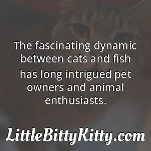 The fascinating dynamic between cats and fish has long intrigued pet owners and animal enthusiasts.