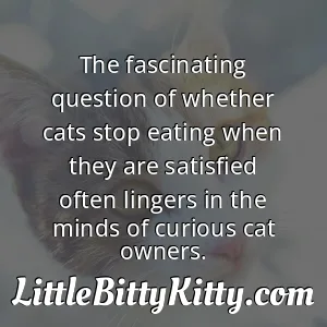 The fascinating question of whether cats stop eating when they are satisfied often lingers in the minds of curious cat owners.