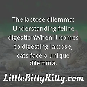 The lactose dilemma: Understanding feline digestionWhen it comes to digesting lactose, cats face a unique dilemma.