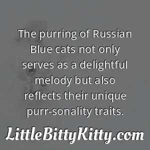The purring of Russian Blue cats not only serves as a delightful melody but also reflects their unique purr-sonality traits.
