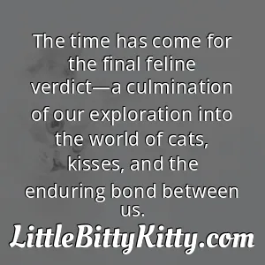 The time has come for the final feline verdict—a culmination of our exploration into the world of cats, kisses, and the enduring bond between us.