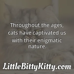 Throughout the ages, cats have captivated us with their enigmatic nature.