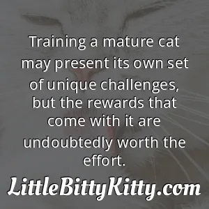 Training a mature cat may present its own set of unique challenges, but the rewards that come with it are undoubtedly worth the effort.