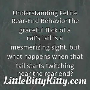 Understanding Feline Rear-End BehaviorThe graceful flick of a cat's tail is a mesmerizing sight, but what happens when that tail starts twitching near the rear end?