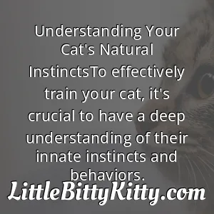 Understanding Your Cat's Natural InstinctsTo effectively train your cat, it's crucial to have a deep understanding of their innate instincts and behaviors.