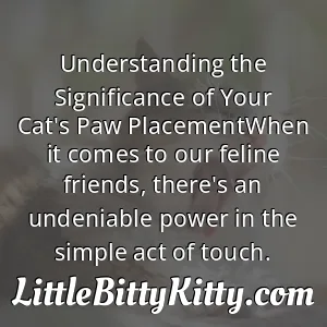 Understanding the Significance of Your Cat's Paw PlacementWhen it comes to our feline friends, there's an undeniable power in the simple act of touch.