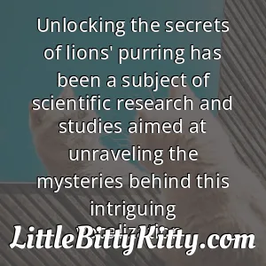 Unlocking the secrets of lions' purring has been a subject of scientific research and studies aimed at unraveling the mysteries behind this intriguing vocalization.