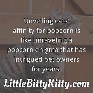 Unveiling cats' affinity for popcorn is like unraveling a popcorn enigma that has intrigued pet owners for years.