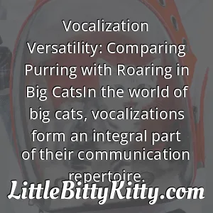 Vocalization Versatility: Comparing Purring with Roaring in Big CatsIn the world of big cats, vocalizations form an integral part of their communication repertoire.