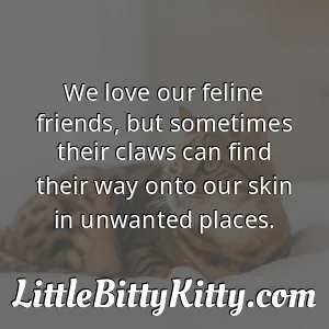 We love our feline friends, but sometimes their claws can find their way onto our skin in unwanted places.