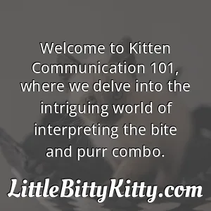 Welcome to Kitten Communication 101, where we delve into the intriguing world of interpreting the bite and purr combo.