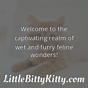 Welcome to the captivating realm of wet and furry feline wonders!