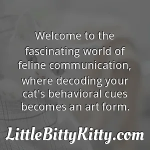 Welcome to the fascinating world of feline communication, where decoding your cat's behavioral cues becomes an art form.