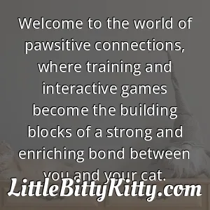 Welcome to the world of pawsitive connections, where training and interactive games become the building blocks of a strong and enriching bond between you and your cat.