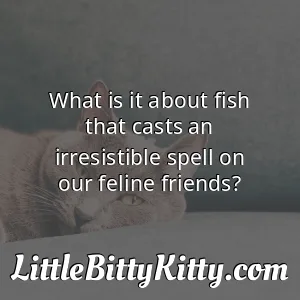 What is it about fish that casts an irresistible spell on our feline friends?