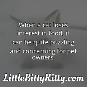 When a cat loses interest in food, it can be quite puzzling and concerning for pet owners.