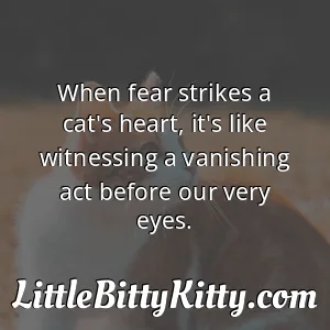 When fear strikes a cat's heart, it's like witnessing a vanishing act before our very eyes.