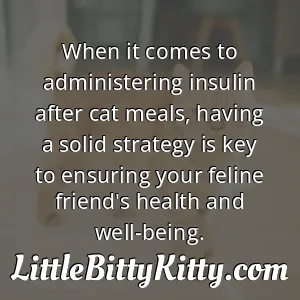 When it comes to administering insulin after cat meals, having a solid strategy is key to ensuring your feline friend's health and well-being.
